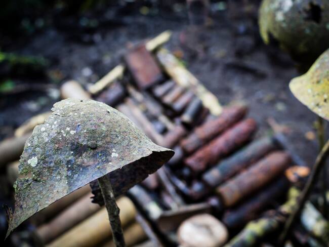 Se conmemoran 80 años de la victoria de los Aliados en Europa