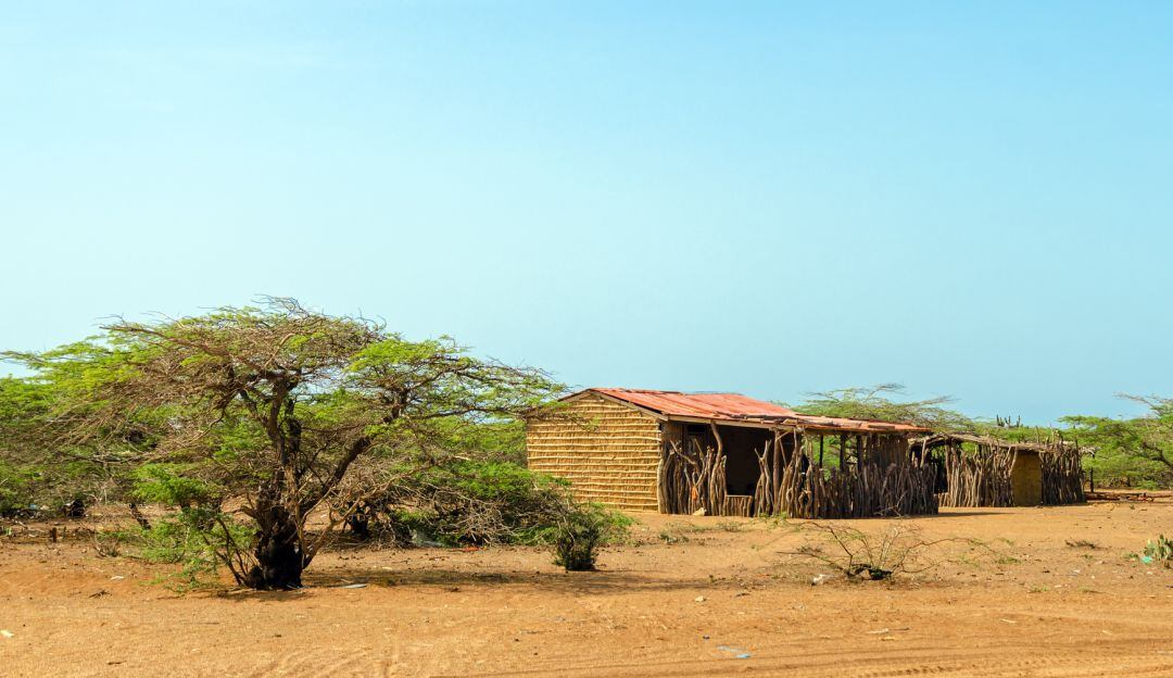 Archivo de referencia