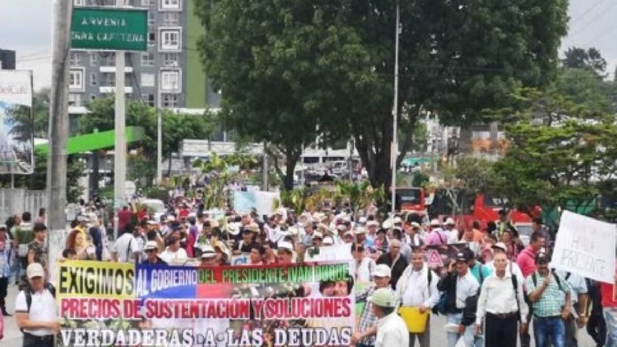 Informe seguridad paro cafetero