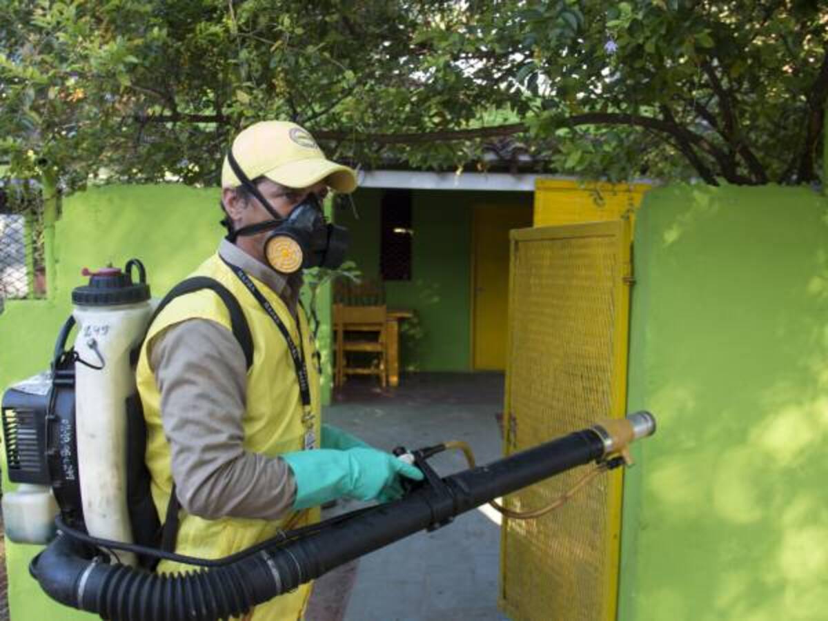 El Zika está presente “prácticamente en toda América Latina y el Caribe”: OPS