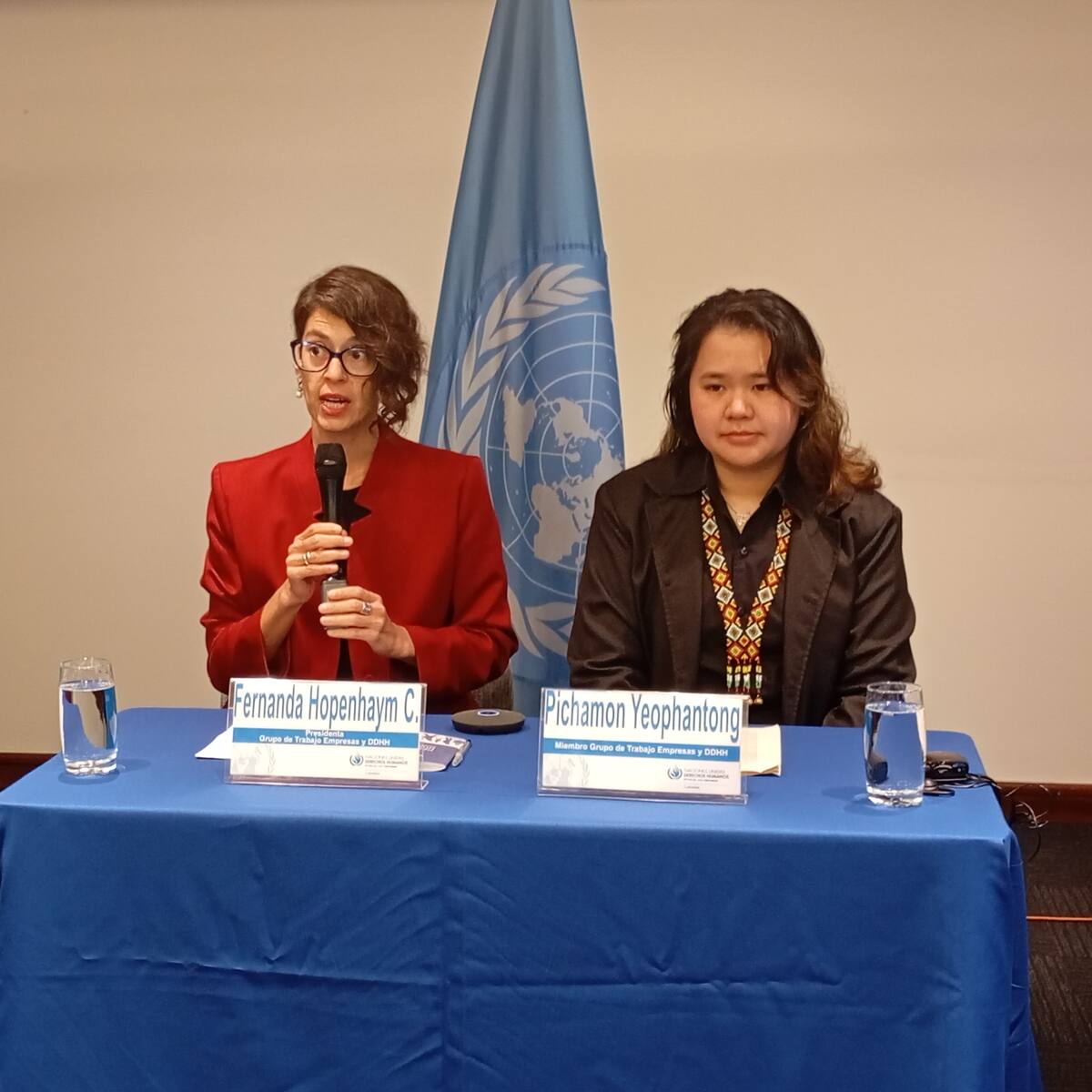 ONU insta a Colombia reforzar protección de Derechos Humanos en el sector empresarial