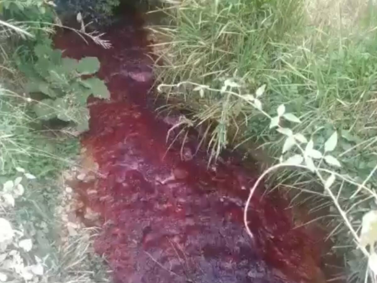 Ríos en Argelia contaminados por residuos químicos de laboratorios de coca