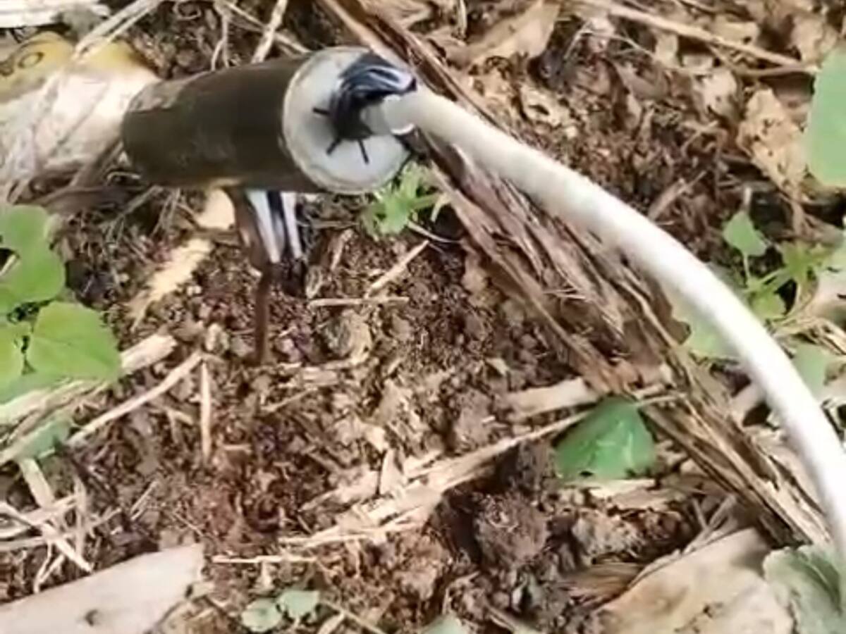 Cuatro minas antipersonal fueron destruidas en la cordillera de Nariño
