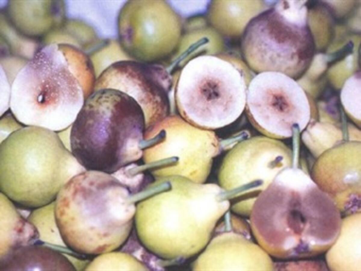 Personero en Medellín denuncia irregularidades en alimentación de cárcel Bellavista