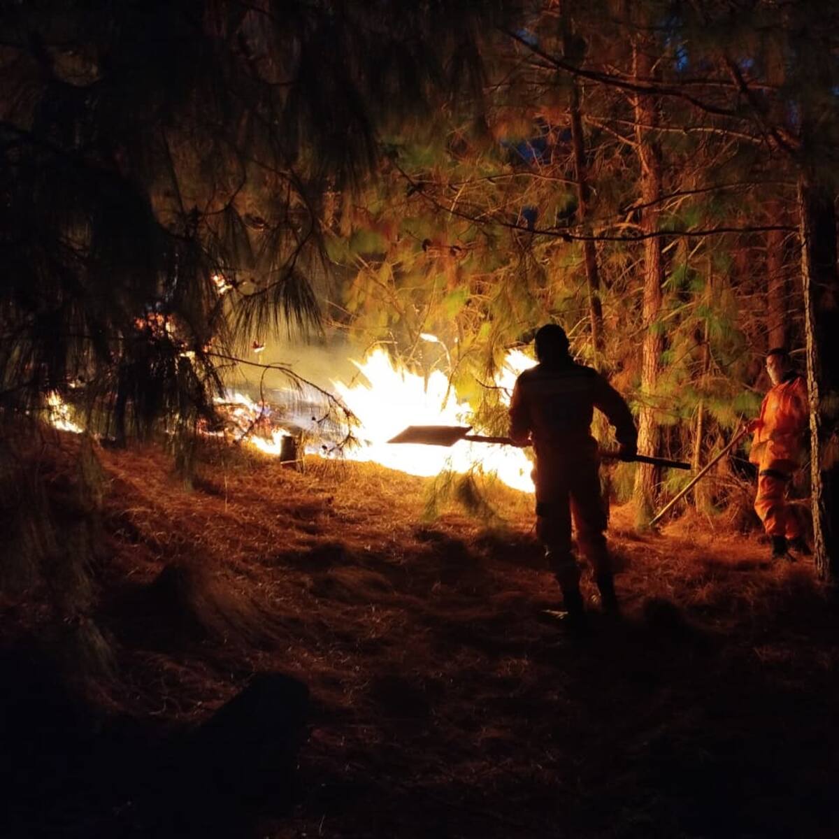 Incendios forestales mantienen en alerta a municipios de Boyacá