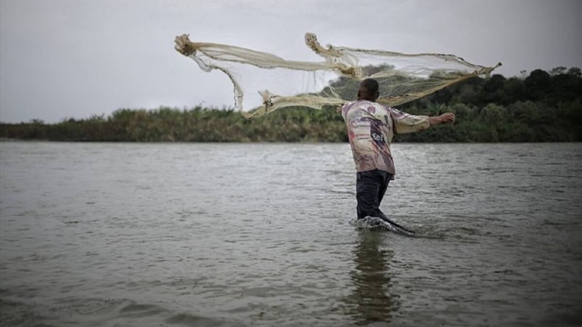 Aprobada ley de apoyo a los pescadores en tiempo de veda