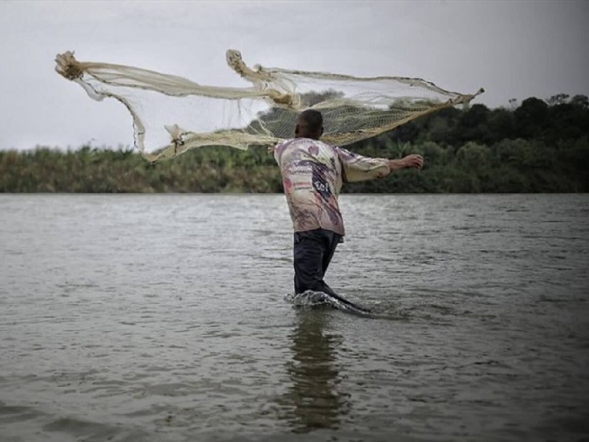 Aprobada ley de apoyo a los pescadores en tiempo de veda