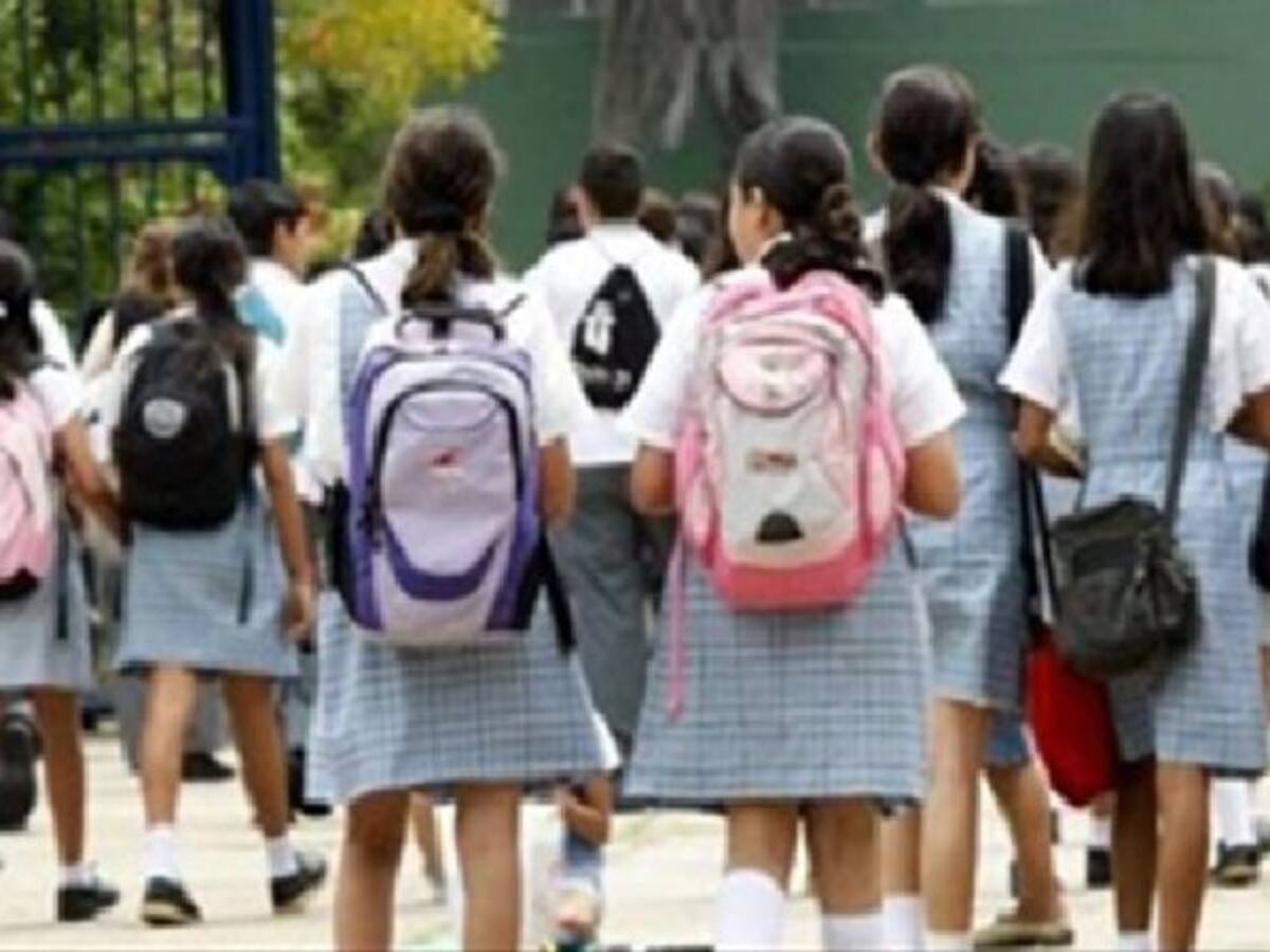 Estudiantes del país recibirán clases de Educación Ambiental