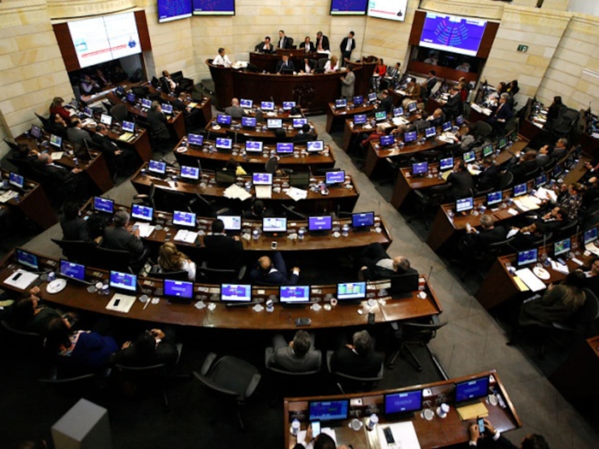 Listo proyecto para el acogimiento de organizaciones criminales