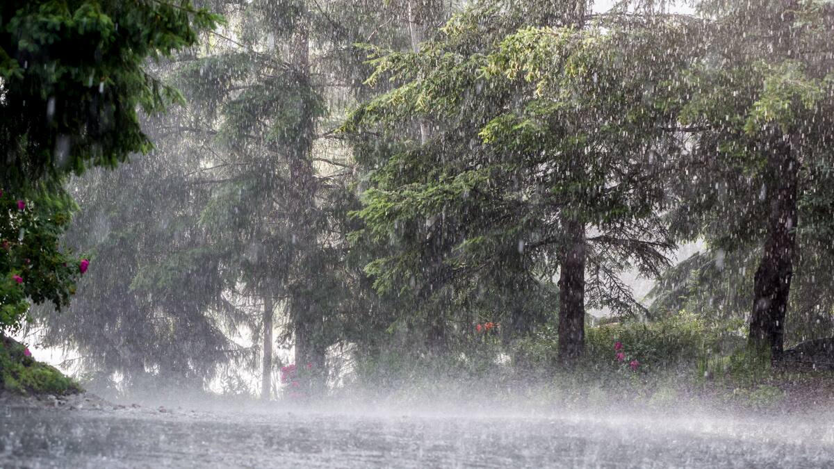 Regiones Caribe, Andina y Pacífica más afectadas por lluvias ¿Cuál es el panorama?