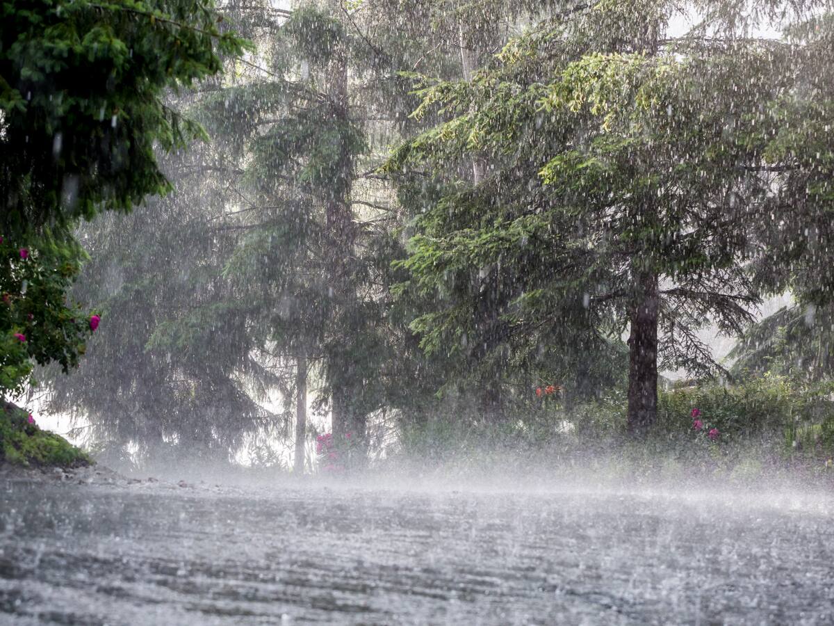 Regiones Caribe, Andina y Pacífica más afectadas por lluvias ¿Cuál es el panorama?