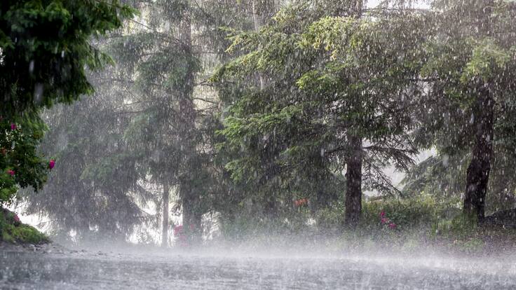 Regiones Caribe, Andina y Pacífica más afectadas por lluvias ¿Cuál es el panorama?