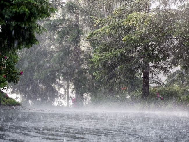 Regiones Caribe, Andina y Pacífica más afectadas por lluvias ¿Cuál es el panorama?