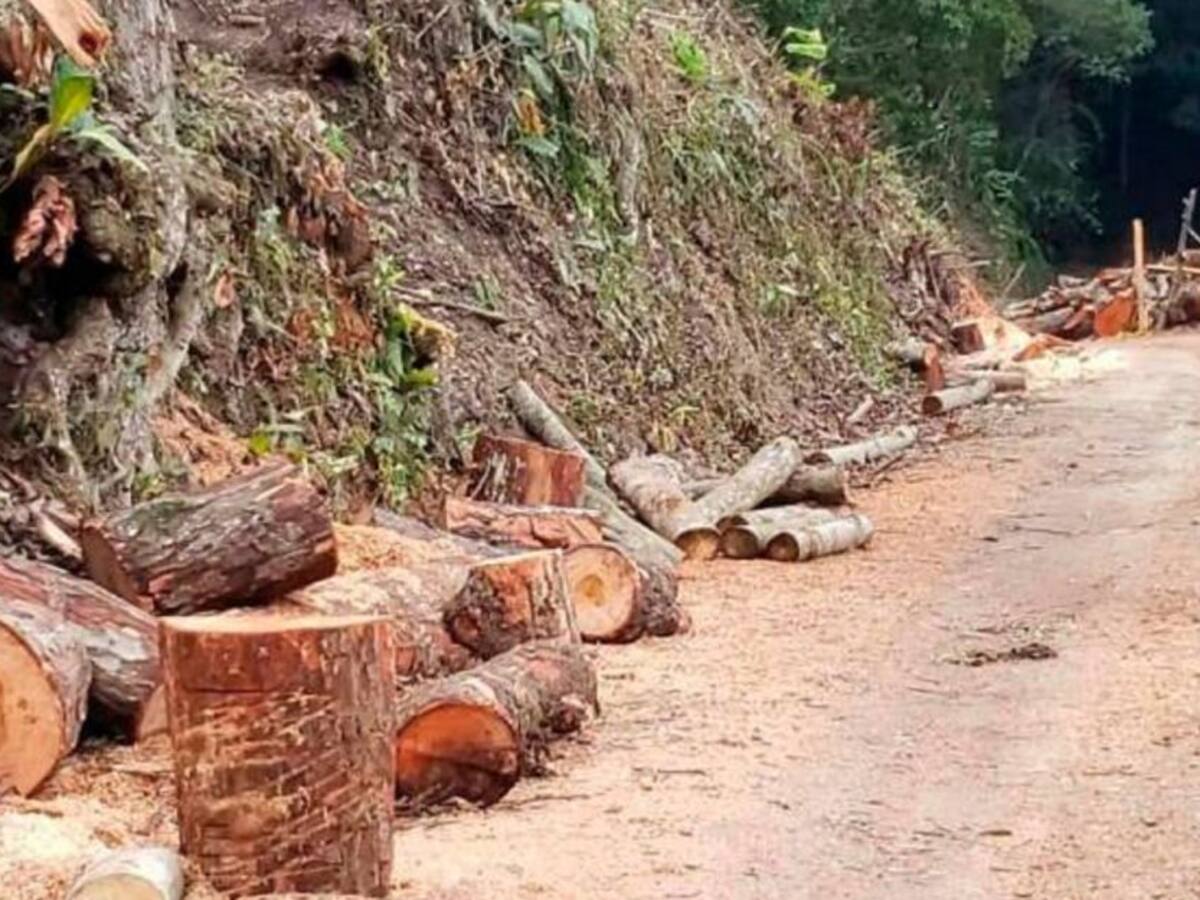 Tribunal admitió tutela ante daños ambientales por conectante C1-C2