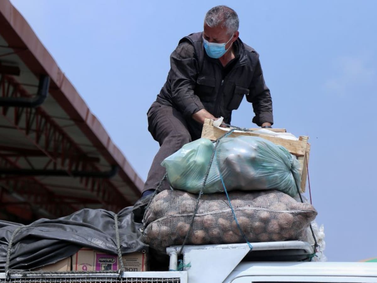 Los Confidenciales de las 12