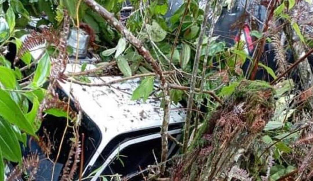 Crédito: Andrés Felipe Velásquez.