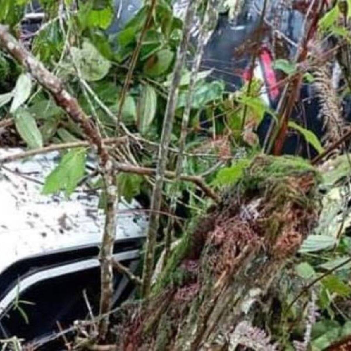 Deslizamiento de tierra en vías del norte de Caldas, sepultó un camión