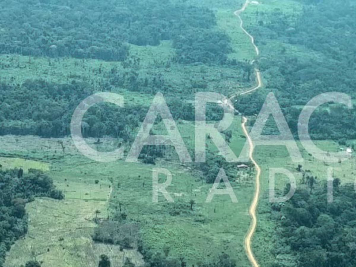 Las ‘trochas’ del narcotráfico que disputan disidencias Farc de ‘Mordisco’ y ‘Calarcá’ en Guaviare