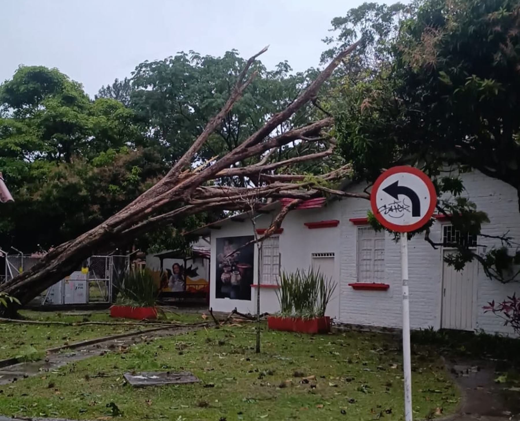 Lluvias ocasionan múltiples emergencias en Ibagué