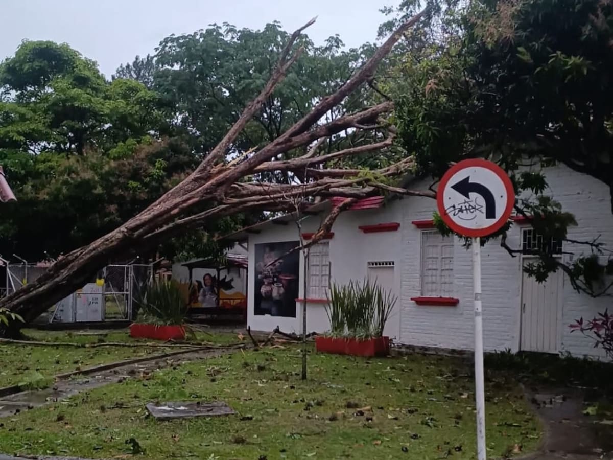 Fuerte aguacero deja decenas de emergencias en Ibagué