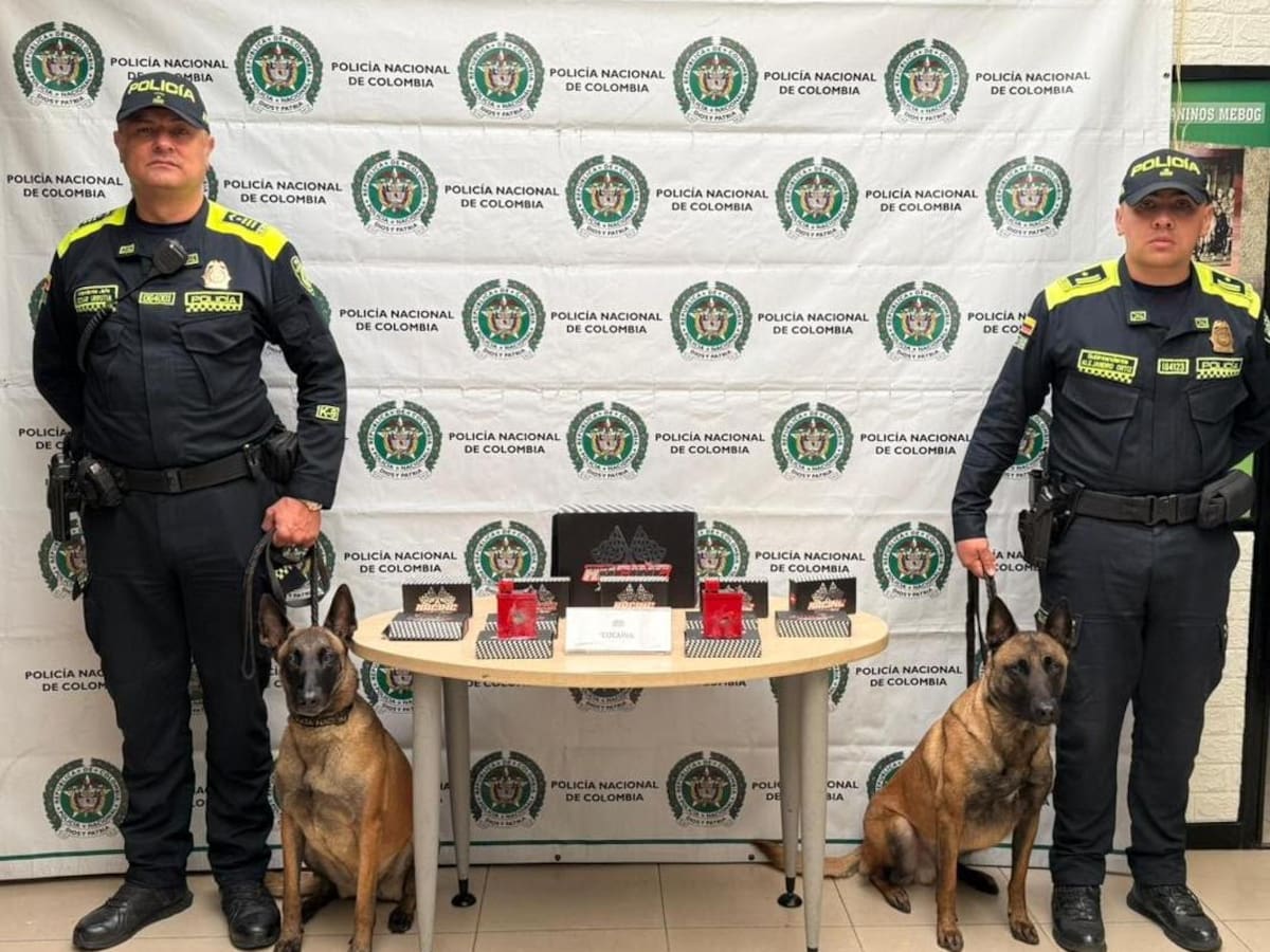 Intentaron sacar cocaína del país camuflada en repuestos de moto: iba hacia Australia