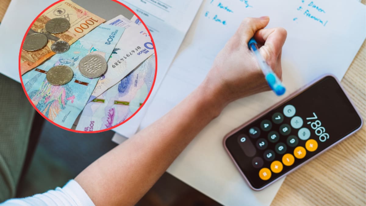 Gobierno superó límite legal de emisión de títulos deuda pública en 2025, pero no infringió: informe