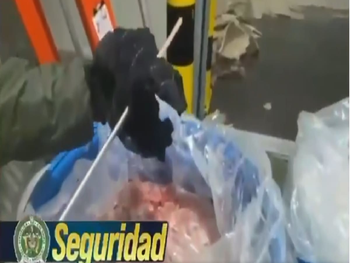 Cayeron 578 kilos de cocaína camuflados en pulpa de guayaba: operación fue en Cartagena