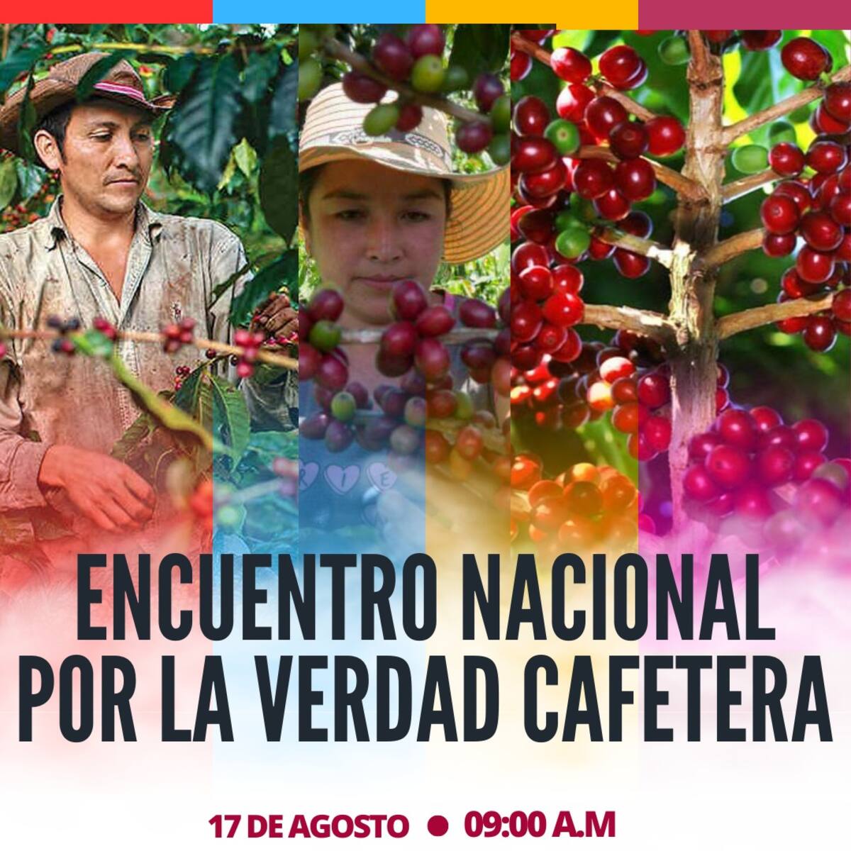 Armenia epicentro de la movilización nacional cafetera, se esperan 2000 caficultores
