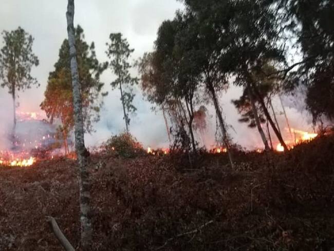 Voraz incendio en Santander amenaza bosque nativo