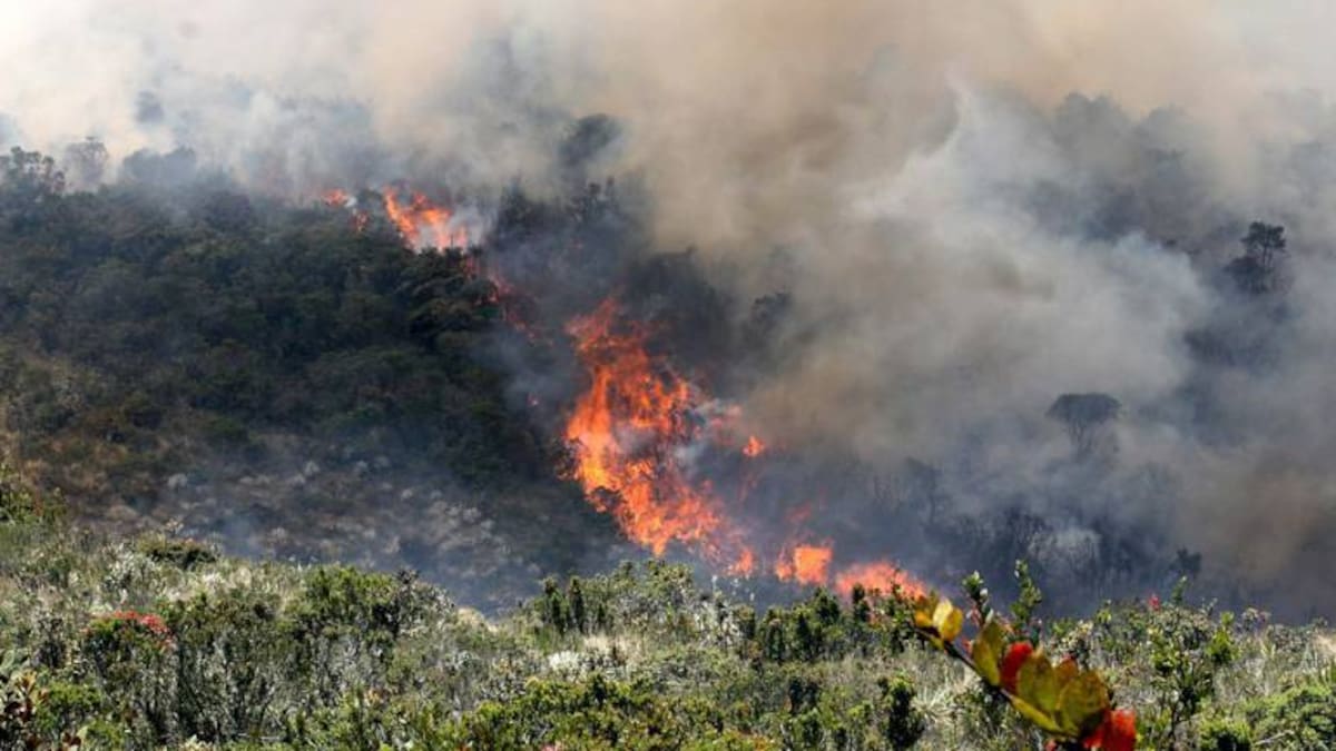 Alrededor de 20 municipios en alerta roja por incendios forestales en Boyacá