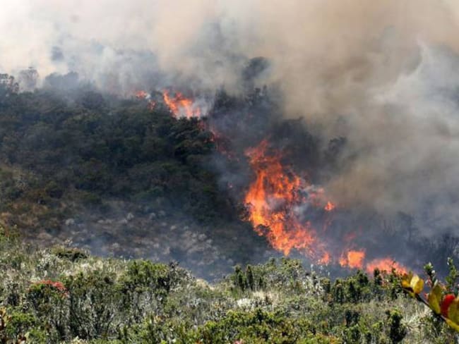 Intentan controlar incendio forestal en Firavitoba, Boyacá