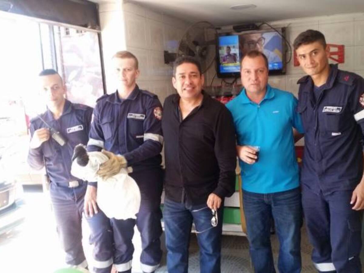 Video: El chulo rescatado por los bomberos