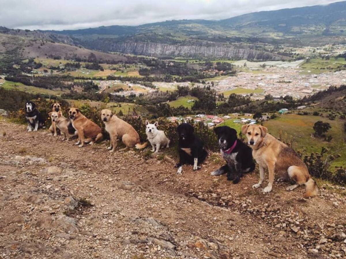 Un momento maravilloso entre dueño y mascota