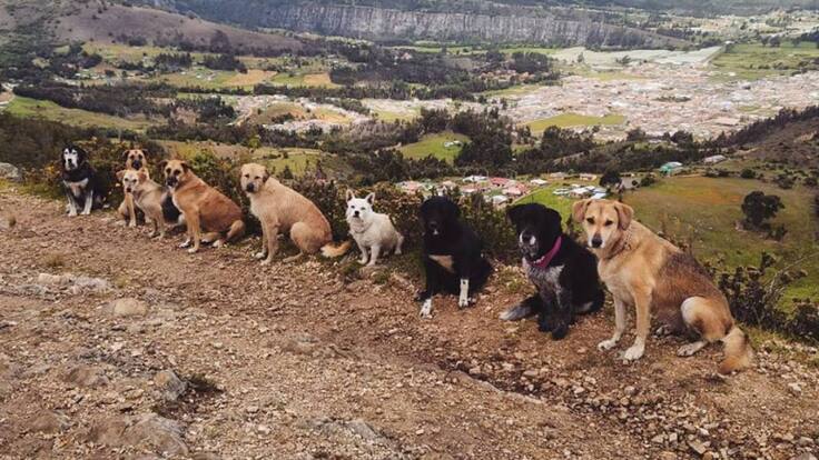 Un momento maravilloso entre dueño y mascota