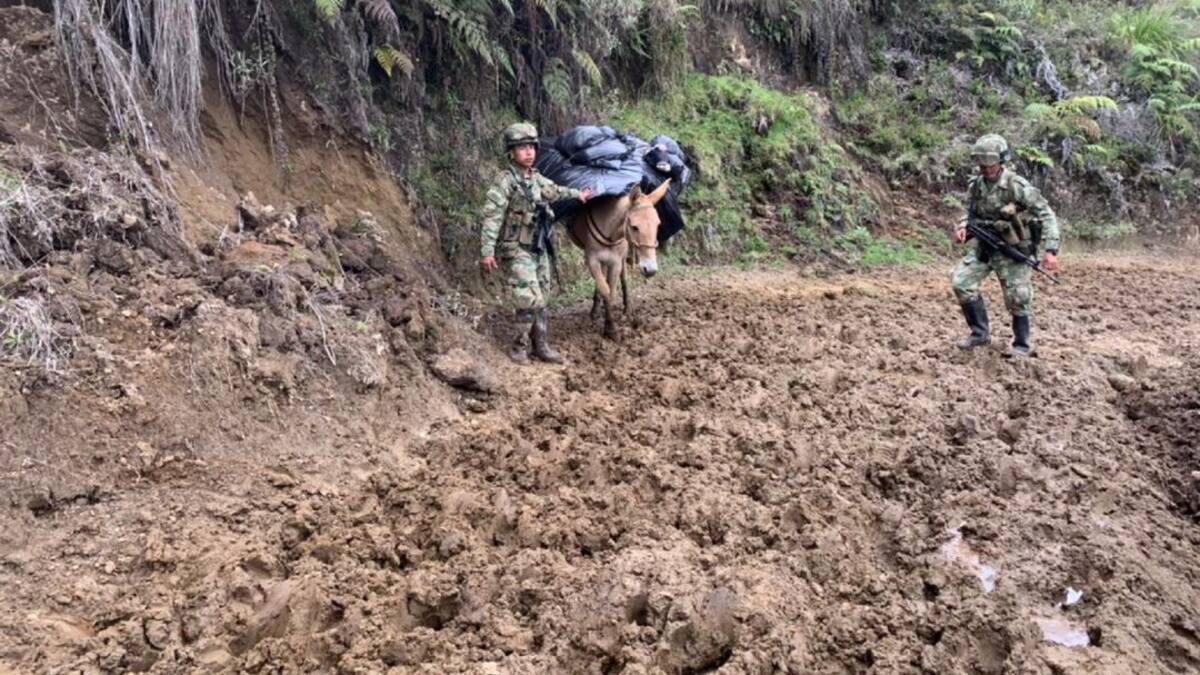 A lomo de mula llegó el material electoral al norte del Tolima