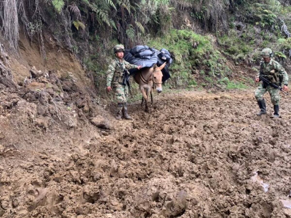 A lomo de mula llegó el material electoral al norte del Tolima