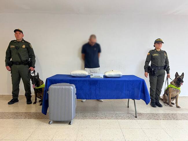 avaluadas en el mercado ilícito por un valor de $9.072.000 pesos. Foto policía Neiva.
