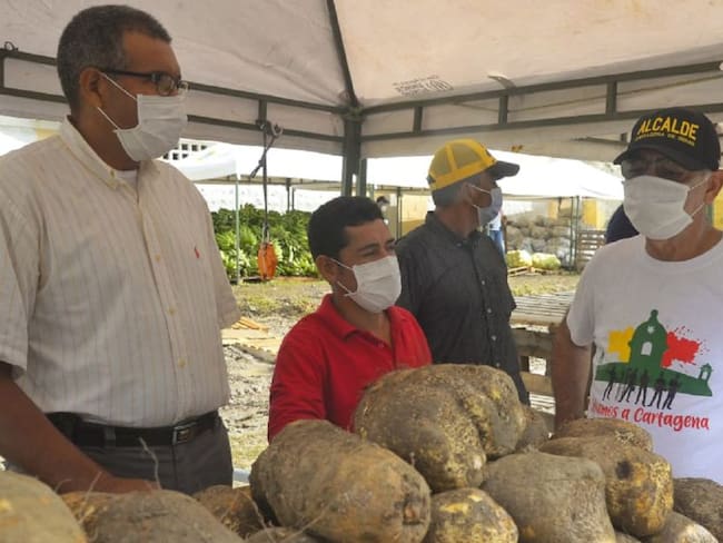 El ñame, el producto más vendido en el Mercado Campesino en Cartagena