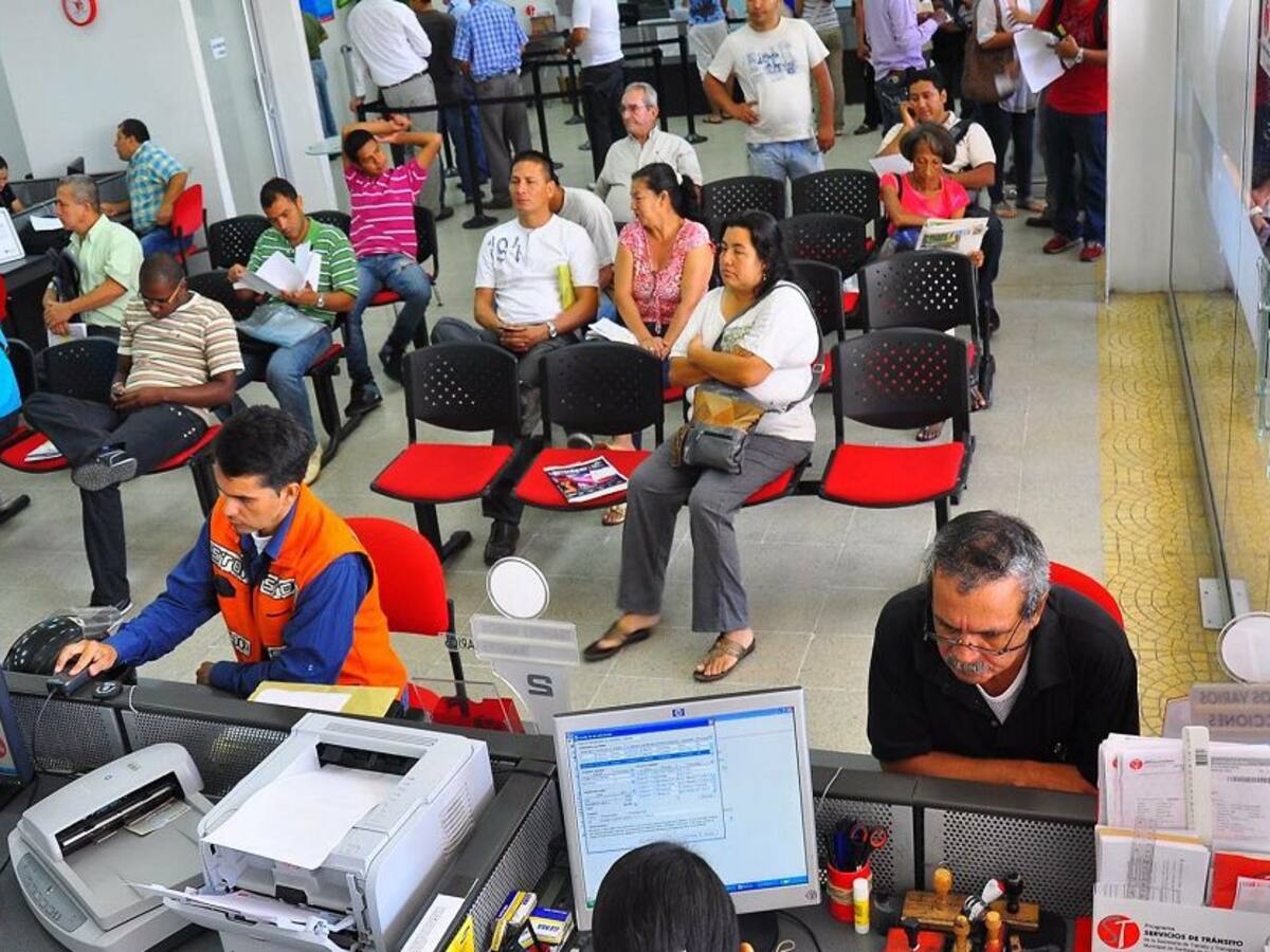 Estos son los trámites y servicios de tránsito que se reactivan en Cali