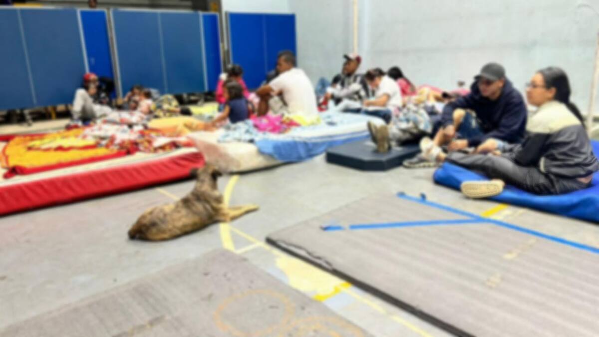Jamundí: retornan más de 450 desplazados por violencia de disidencias Farc a sus territorios