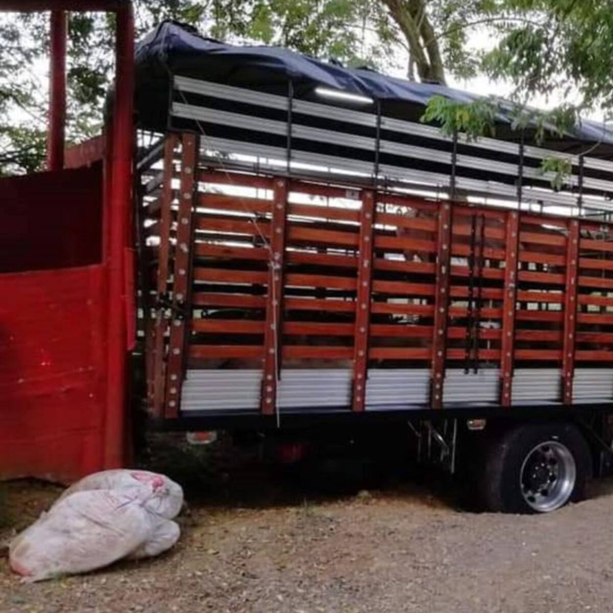 3 capturas por hurto a un camión con 66 cerdos en zona rural de Circasia