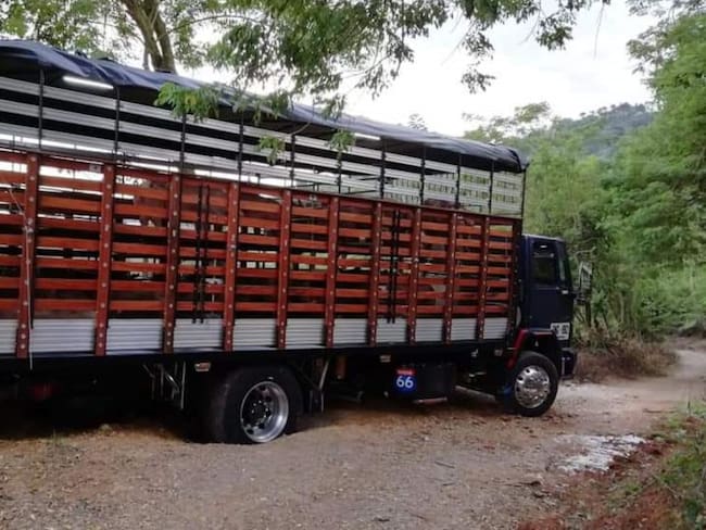 3 capturas por hurto a un camión con 66 cerdos en zona rural de Circasia