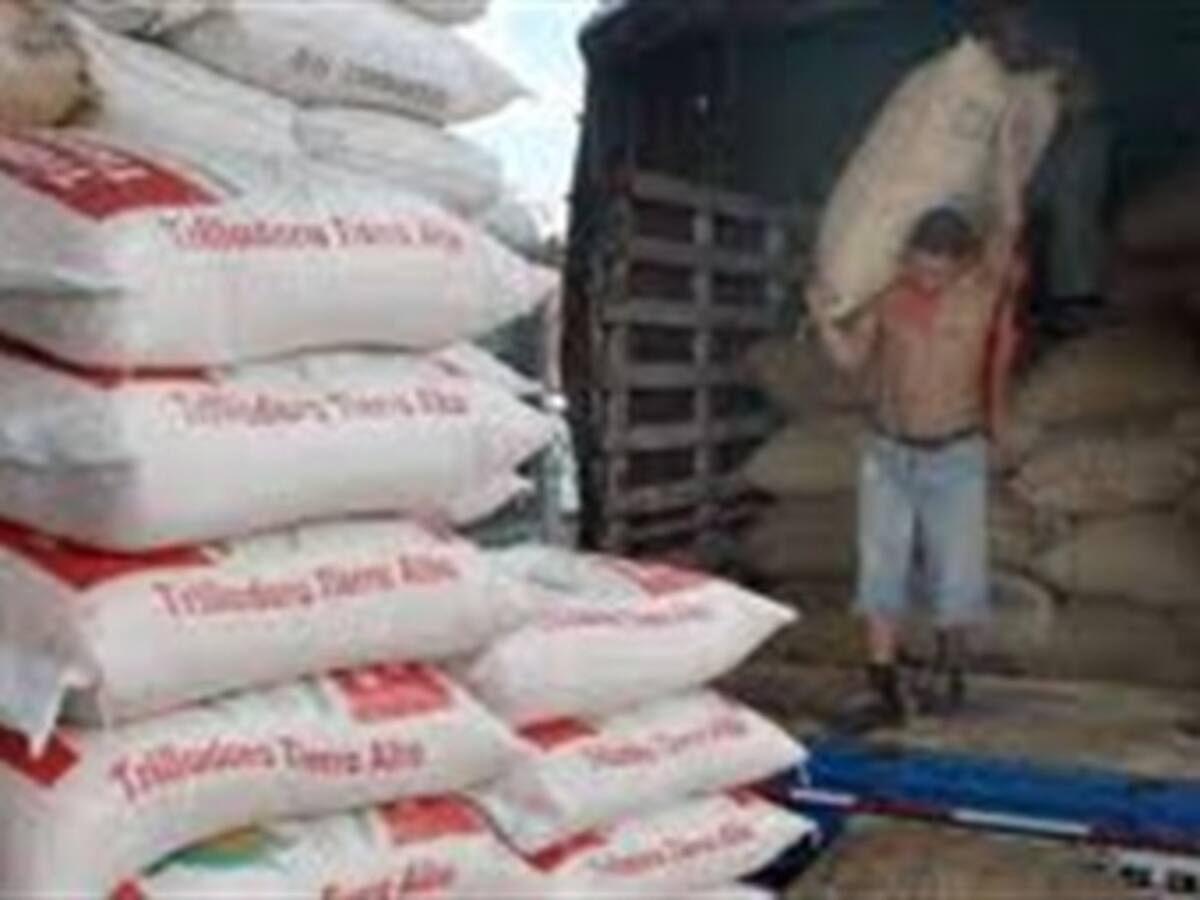 Arroceros inician evacuación de cientos de toneladas del producto en el Catatumbo