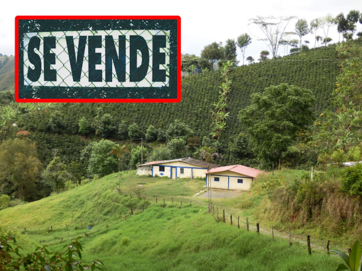 Cómo verificar si un terreno es legal en Colombia: asegúrese con estos 4 pasos