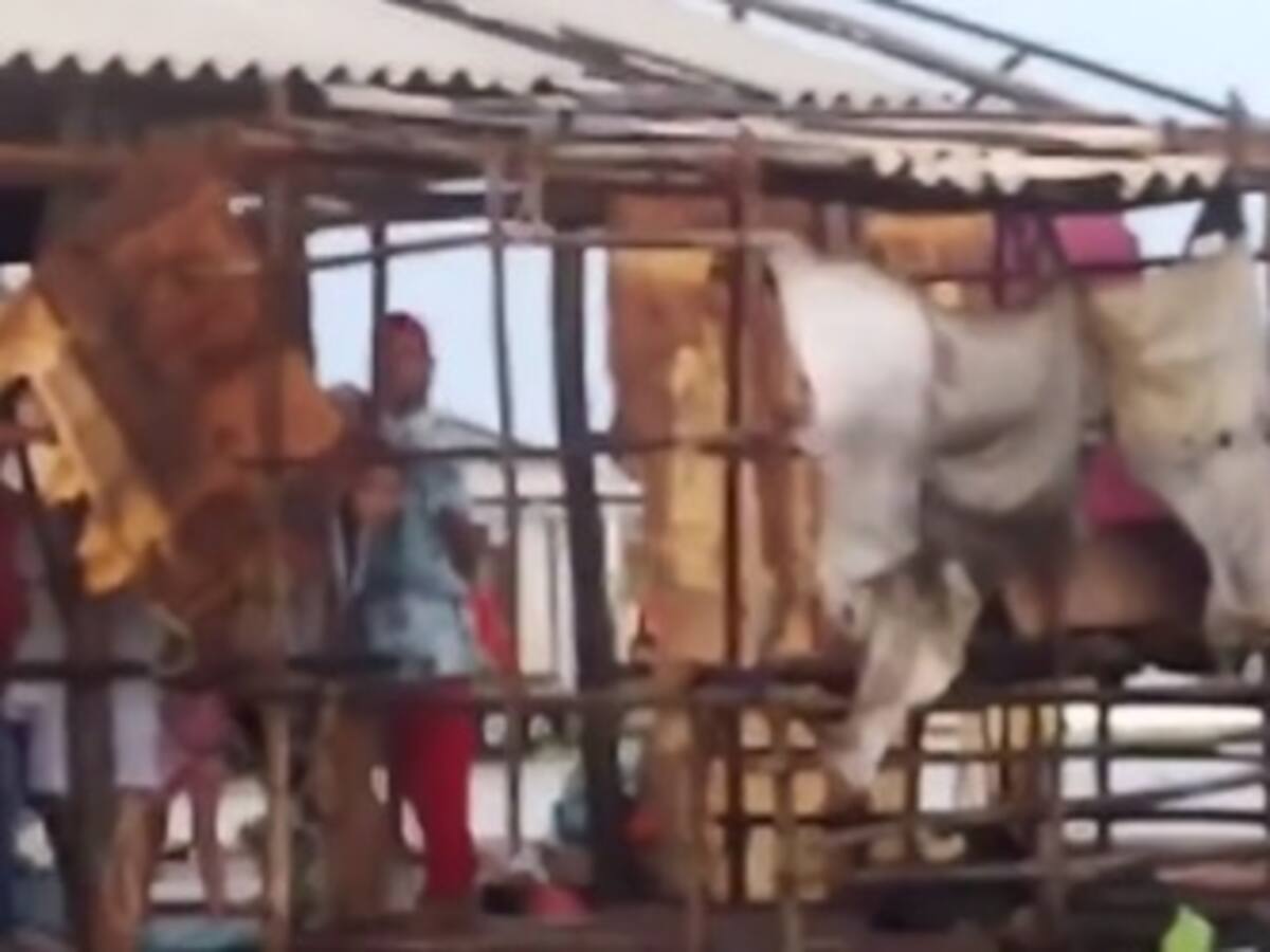 Reportan emergencias por lluvias en los pueblos palafitos del Magdalena