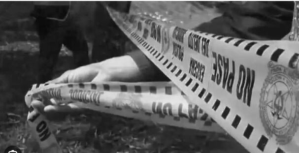 Imagen de referencia. Cortesía.