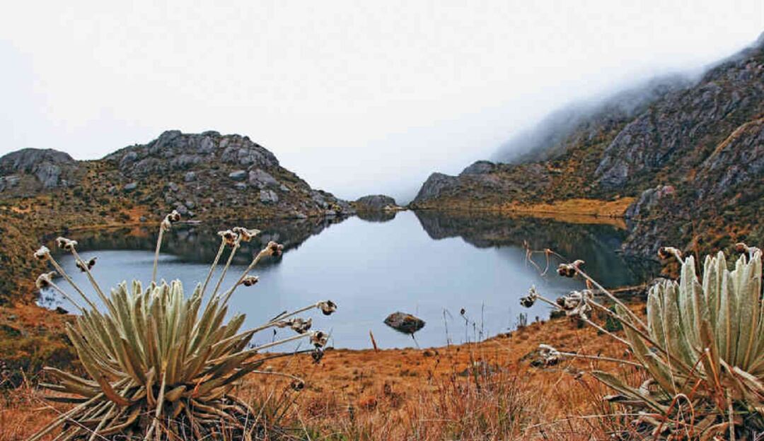 páramo de Santurbán