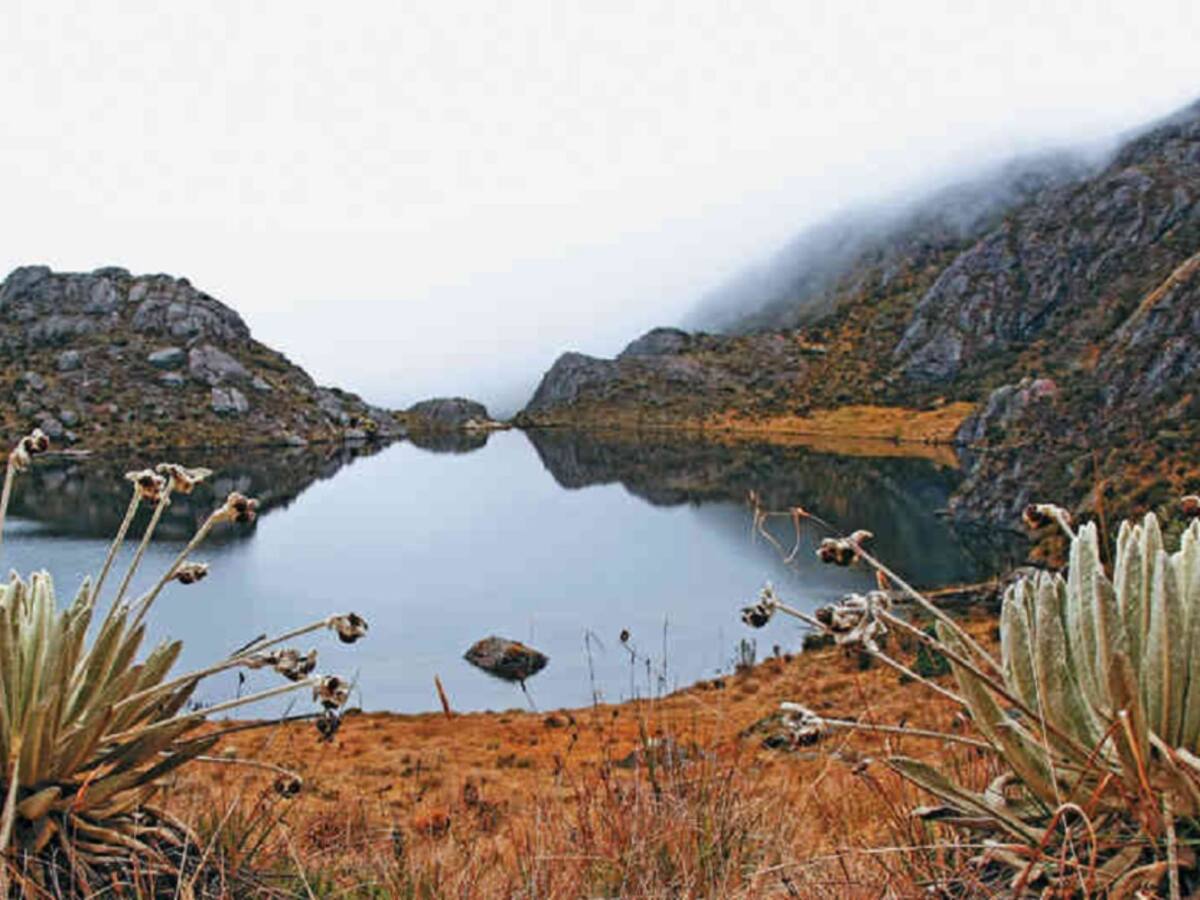 Campesinos del páramo de Santurbán reclaman planes de prevención