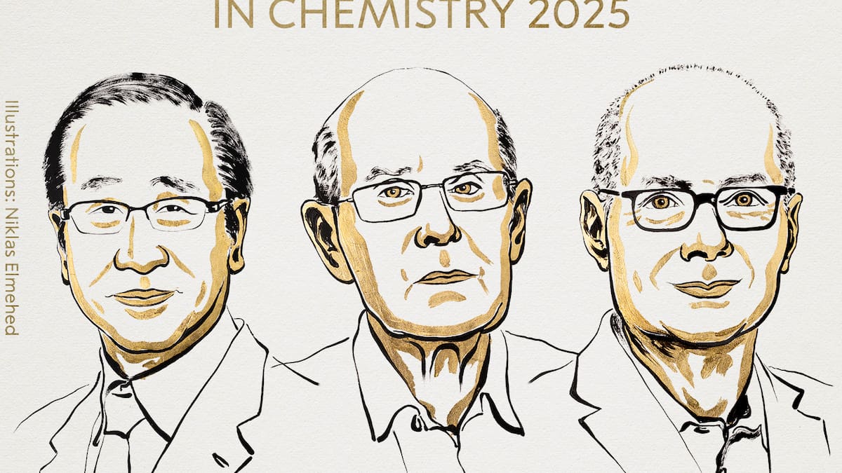 Nobel de Química es entregado a tres científicos por el desarrollo de estructuras metal-orgánicas