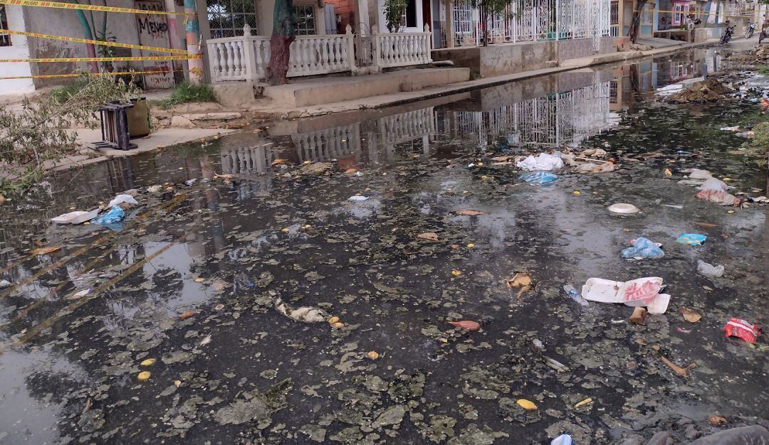 El DADIS anunció que intensificó el seguimiento a la atención que reciben los pacientes diagnosticados con dengue